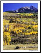 Kebler Pass